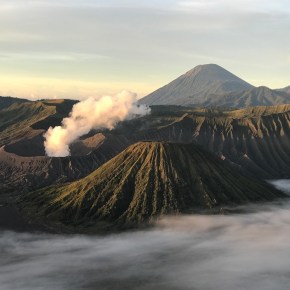 Choosing to rise above the&nbsp;ashes…