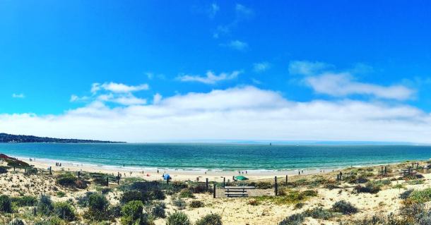 37161068_10214532087470557_7616383578942734336_o