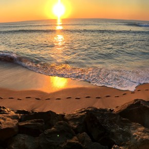 Rose-Colored Disillusionmentism.